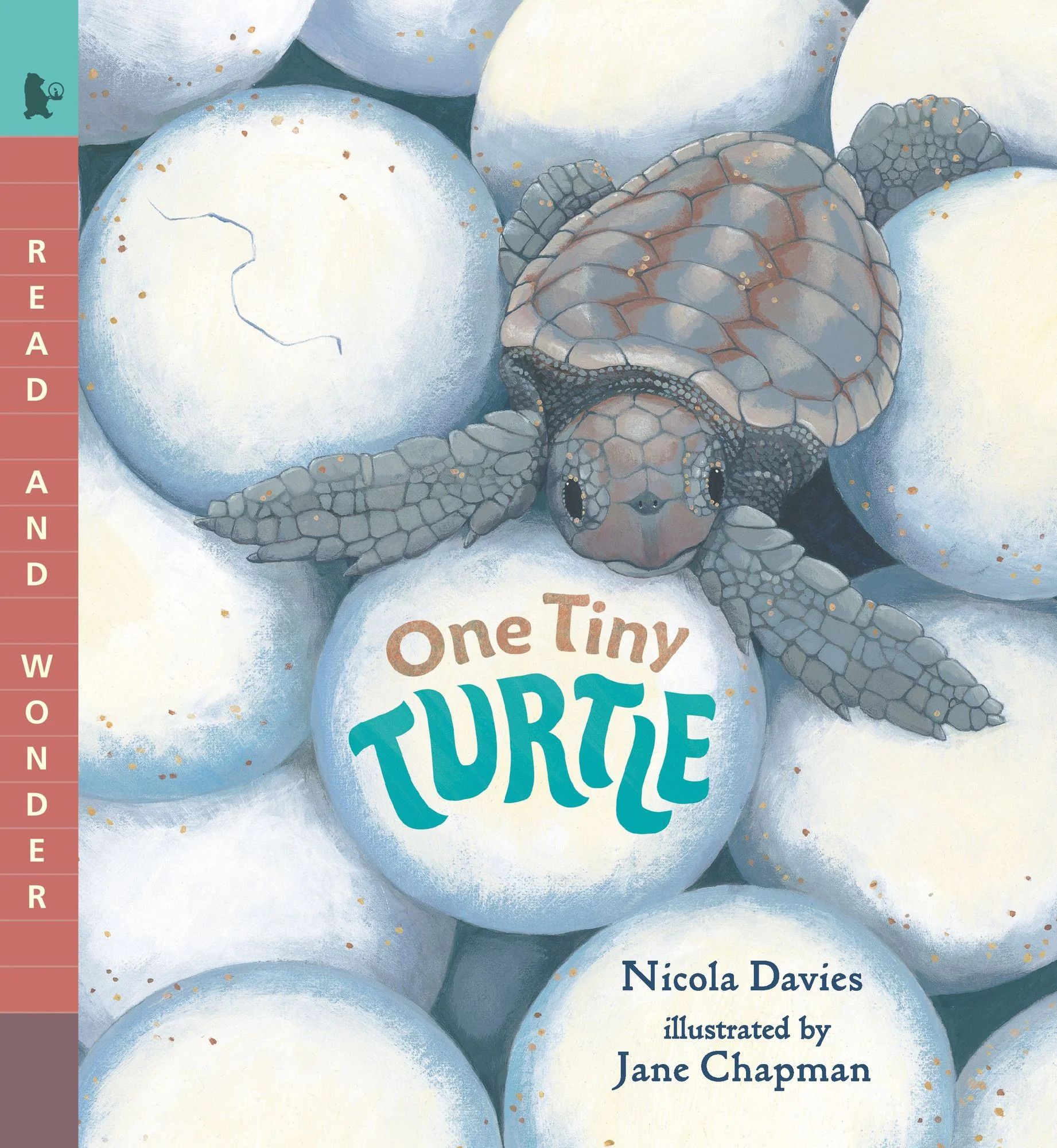One Tiny Turtle: Read and Wonder | Barnes & Noble