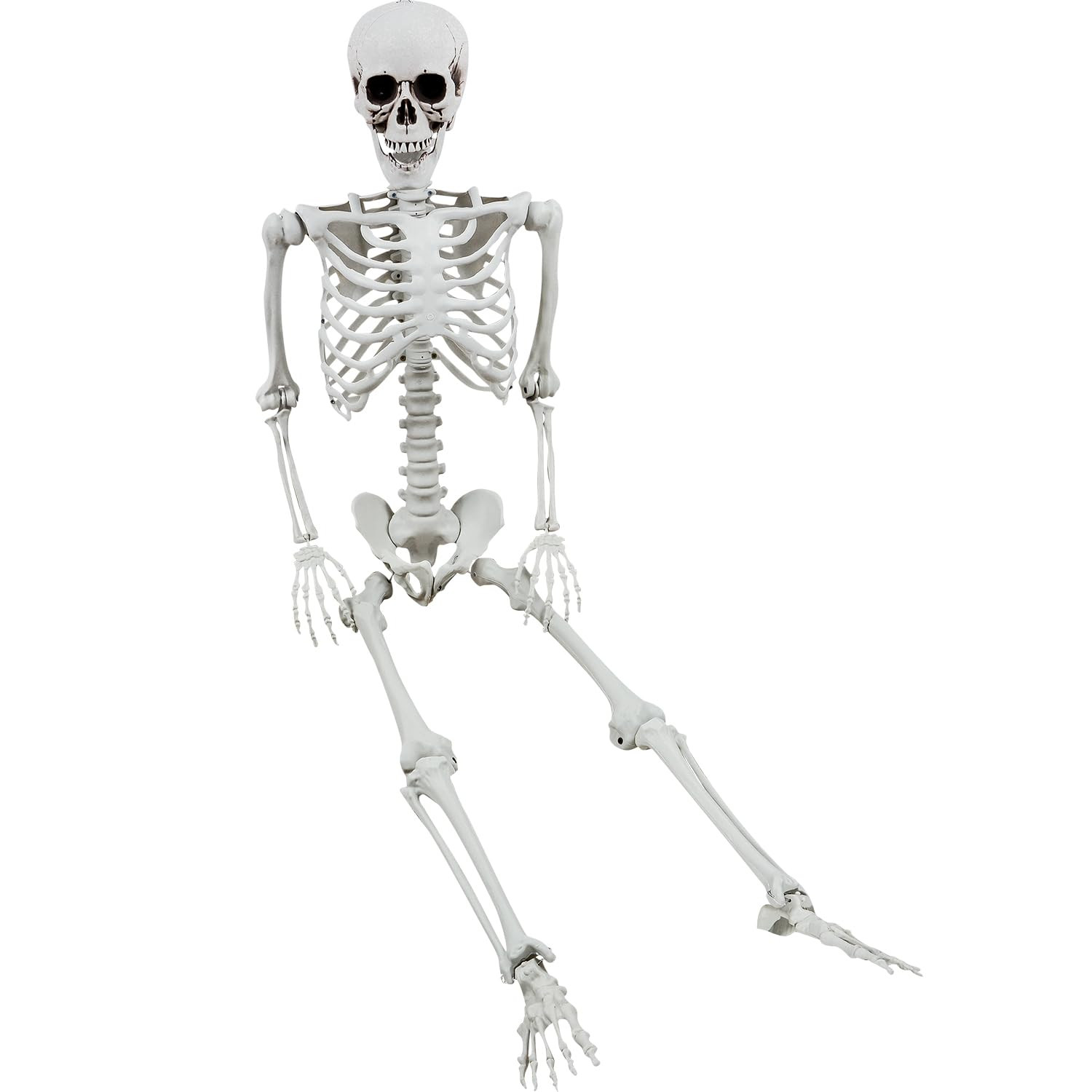 5.4ft/165cm Halloween Skeleton - Halloween Human Skeletons Full Body Bones with Movable Joints fo... | Amazon (CA)