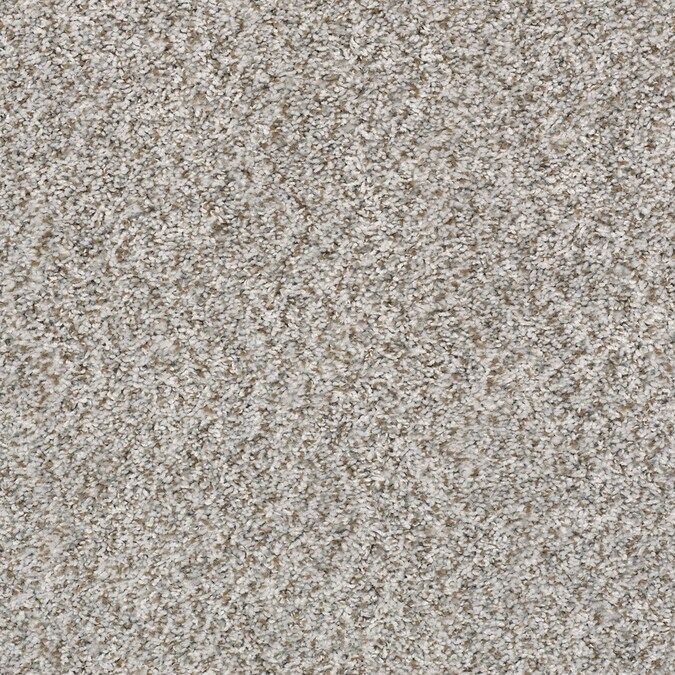 Shaw Survivor RR Stone Textured Carpet (Indoor) Lowes.com | Lowe's