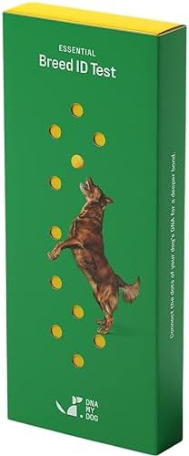 DNA MY DOG – Trusted & Affordable Breed Identification Test | 350+ Breeds Identified w/ 99%+ Ac... | Amazon (US)