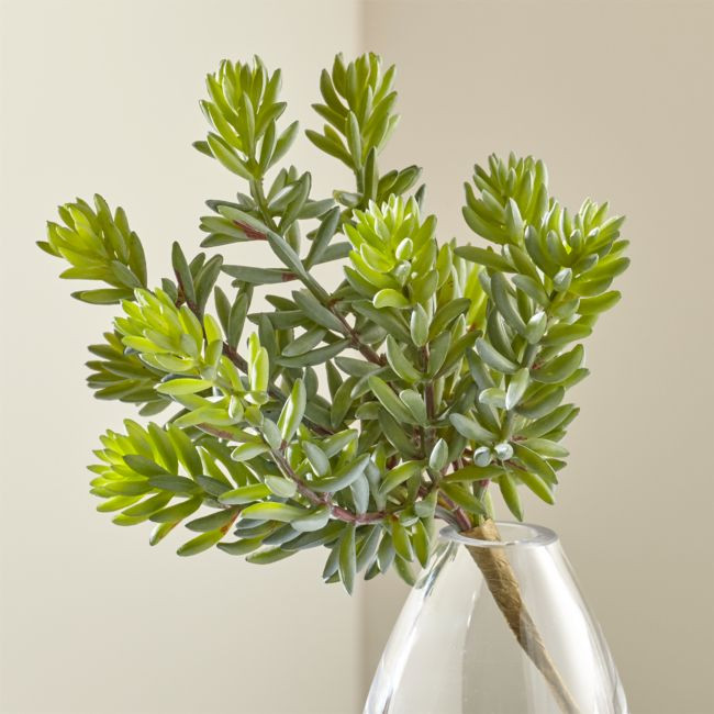 Faux Sedum Album Succulent Stem | Crate & Barrel