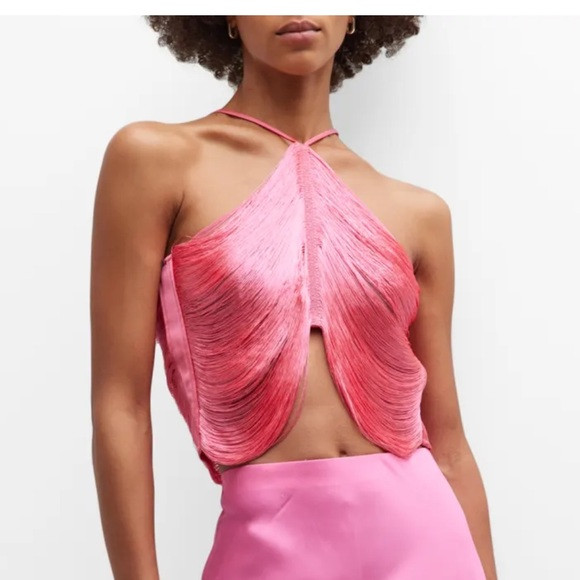 Cult Gaia Fringe Halter Top | Poshmark