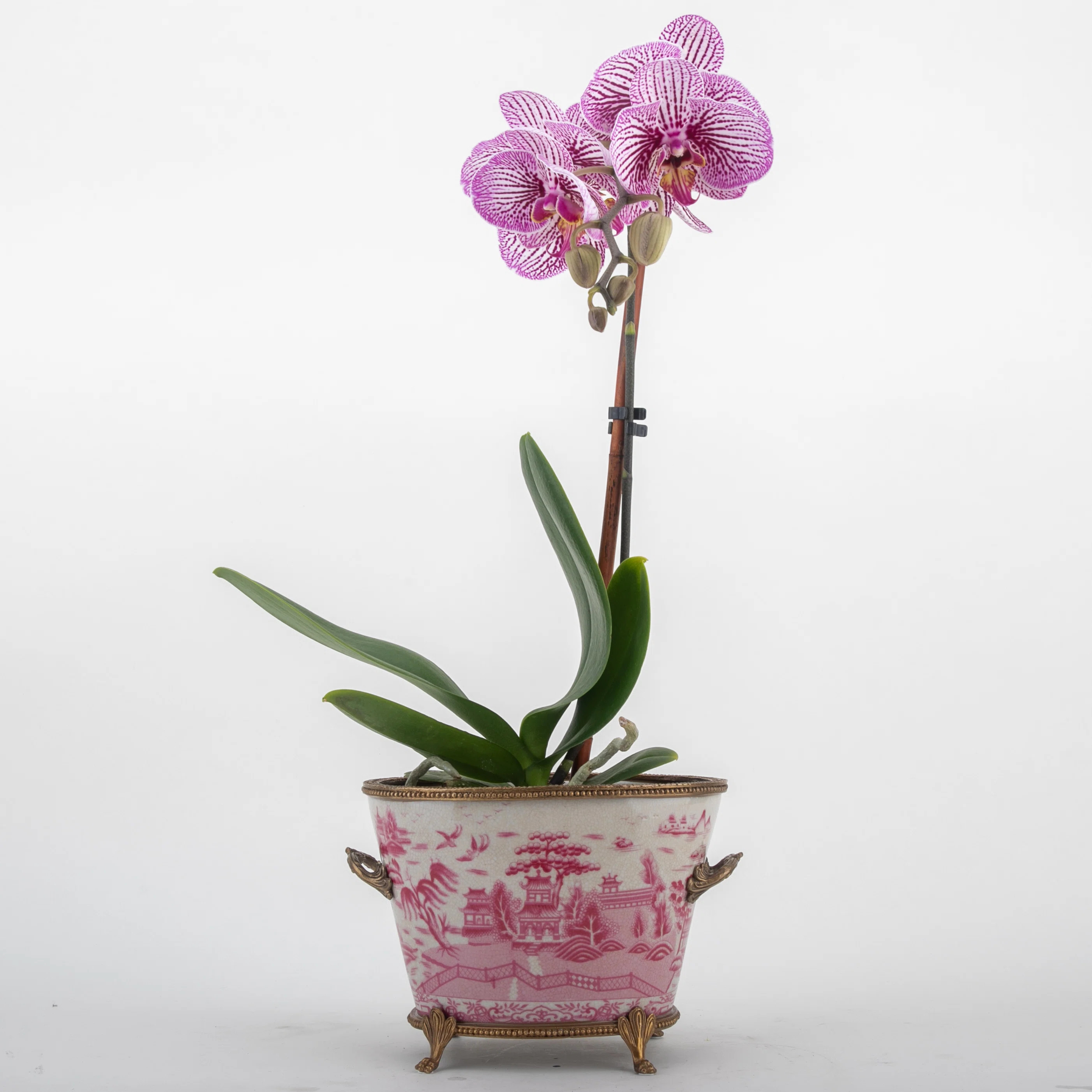 Handmade Ceramic Pot Planter | Perigold