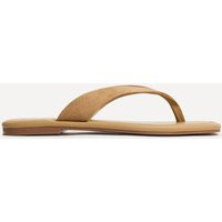 Linzi Element Sand Toe Post Flat Sandals In Brown | Dorothy Perkins (UK)