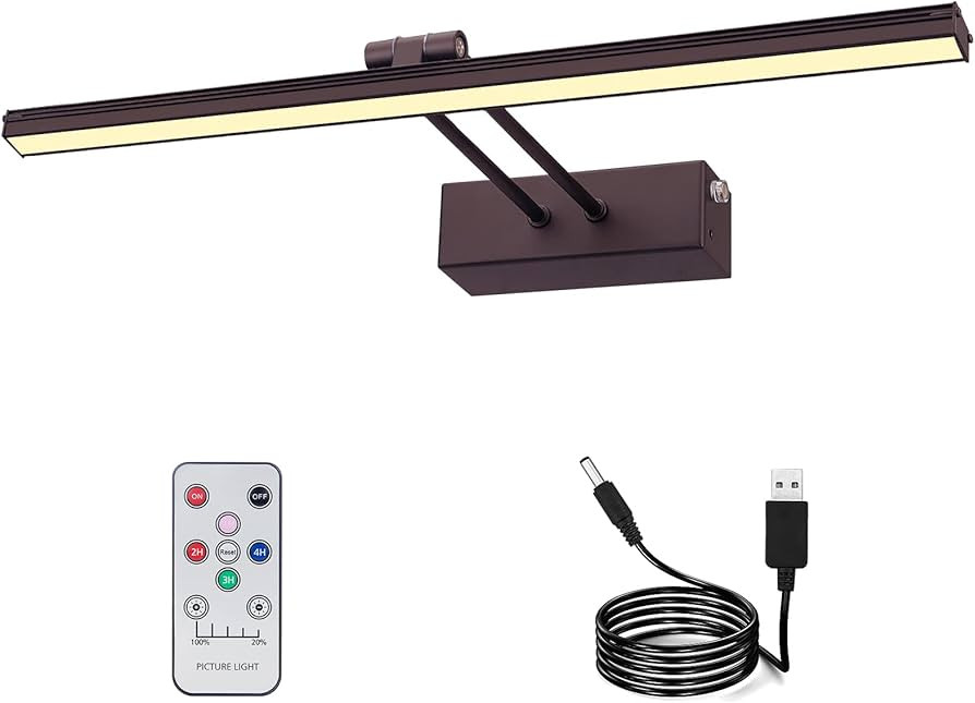 FUNCHDAY Picture Light,Battery Art Lights for Wall,Wireless Remote Painting Light with Timer and ... | Amazon (US)