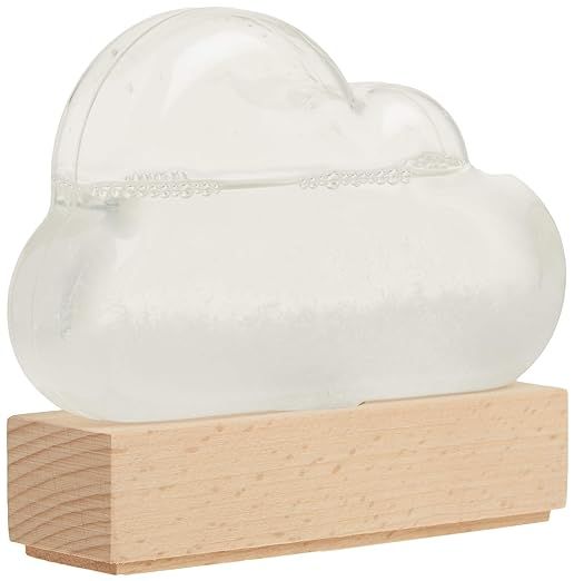 Storm Cloud: A Weather Predicting Instrument     Misc. Supplies – May 7, 2019 | Amazon (US)