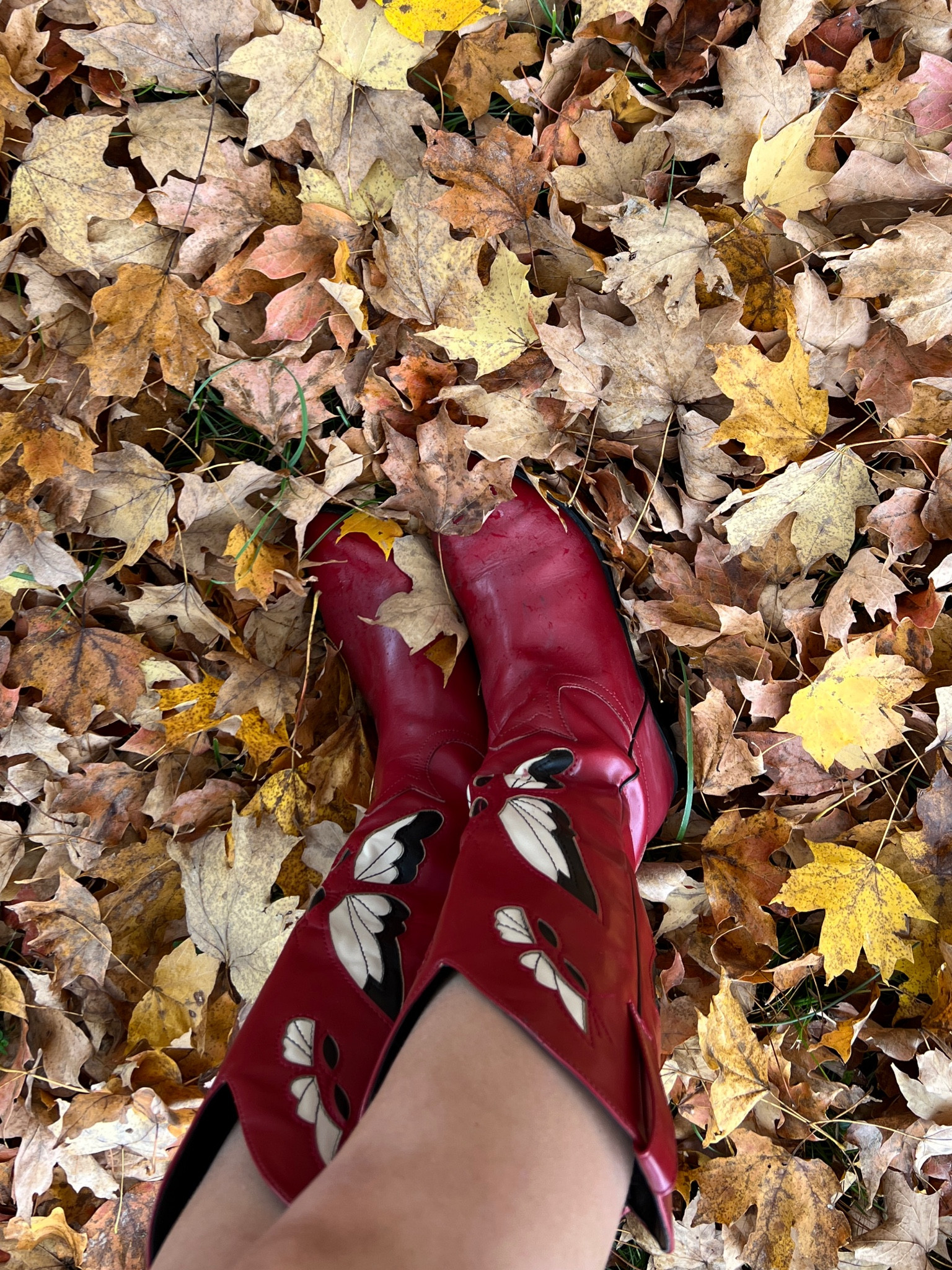 Perfect Amazon cowgirl boots !!! ❤️

#LTKShoeCrush #LTKFindsUnder50 #LTKStyleTip