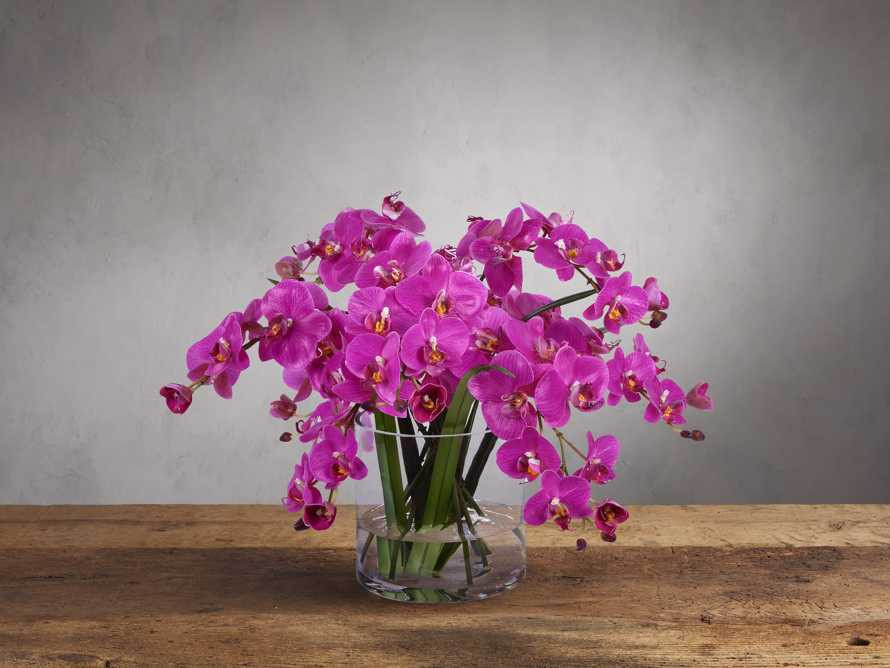 Faux Fuchsia Phalaenopsis in Glass | Arhaus | Arhaus