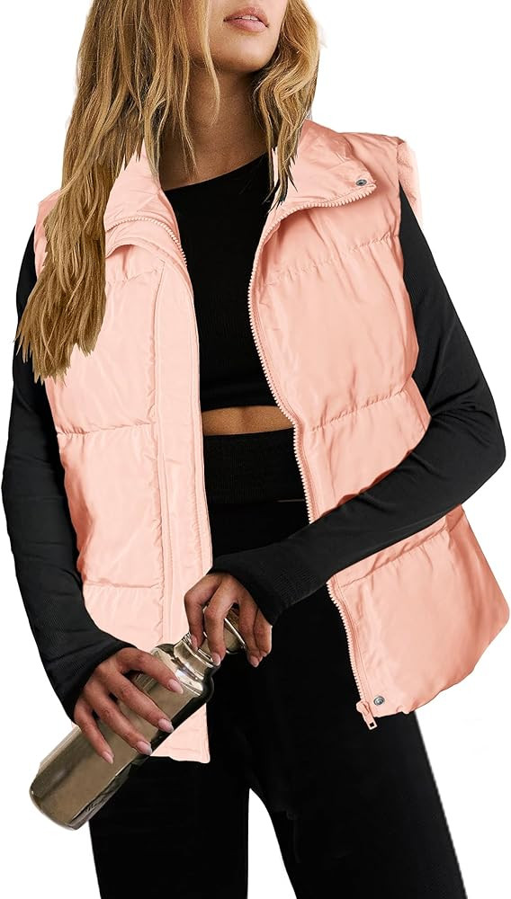 Zeagoo Women Puffer Vest Lightweight Stand Collar Sleeveless Winter Warm Zip Up Padded Outerwear ... | Amazon (US)