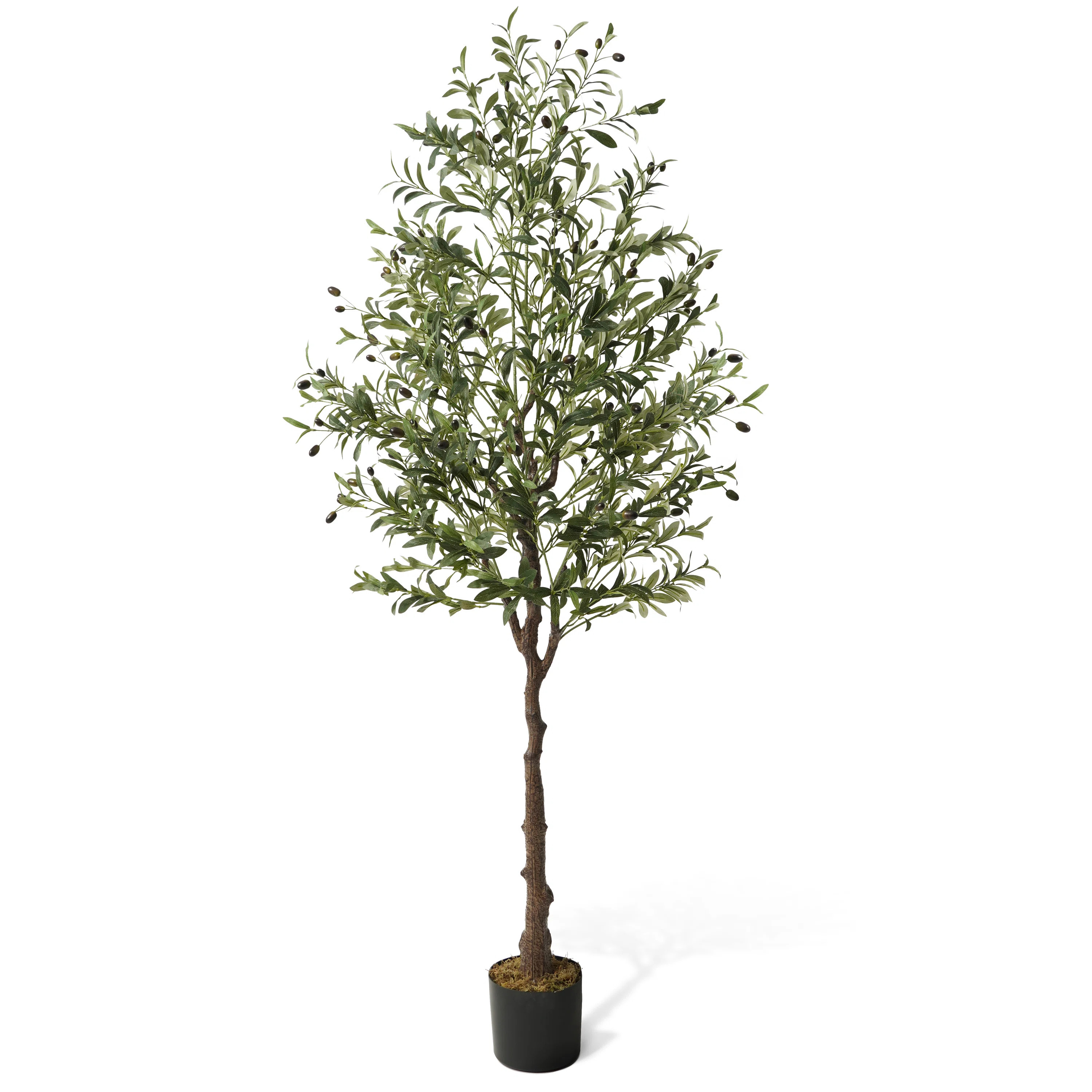 CAPHAUS Artificial Olive Tree with Fruit, Fake Potted Topiary Tree with Dried Moss, 5 / 6 / 7 Fee... | Wayfair North America