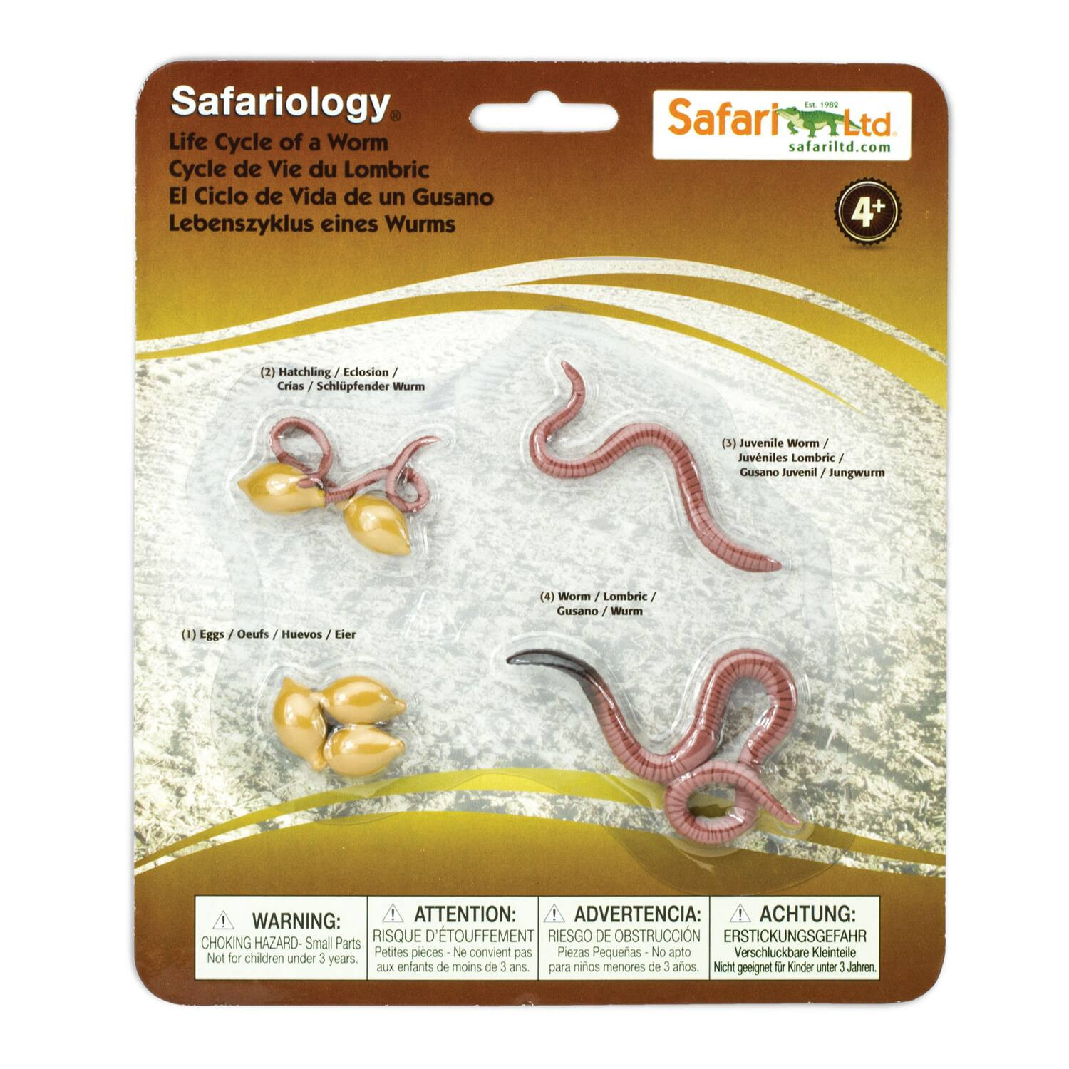 Safari Ltd. - Life Cycle Of A Worm Toy | Best Buy U.S.