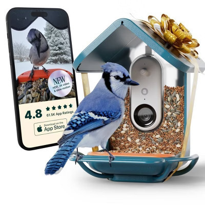 Bird Buddy Smart Bird Feeder with Camera and Solar Roof: Weather-Resistant, Hanging or Pole Mount | Target
