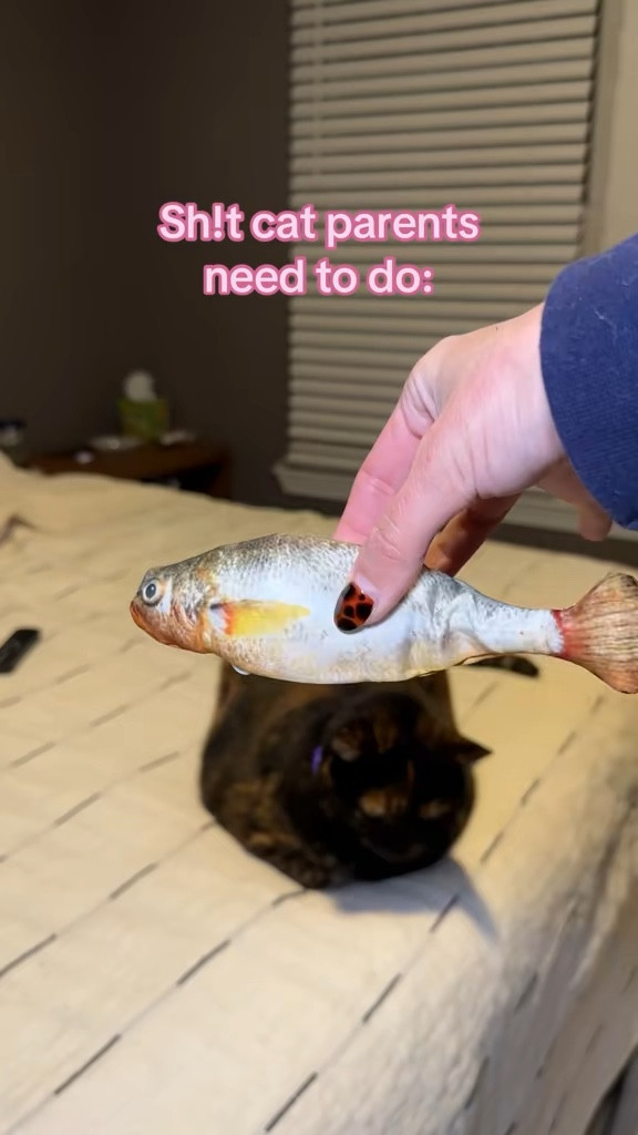 Fleas Witherspoon loves her interactive cat toy 

 #LTKdayinmylife #LTKmorningroutine #LTKHome