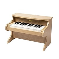 ZIPPY Kids Piano Keyboard, 25 Keys Digital Piano for Kids, Mini Music Educational Instrument Toy,... | Amazon (US)