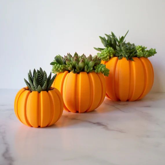 Succulent Pumpkin Planter, Fall Succulent Planter, Autumn Pumpkin Pot, Fall Decor Pumpkin, Thanks... | Etsy (US)
