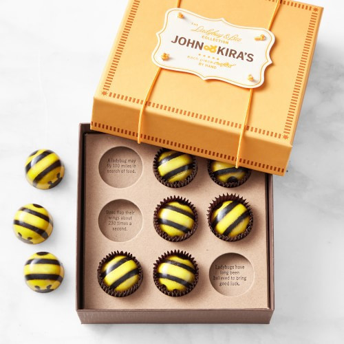 John & Kira's Chocolate Bumble Bees, Set of 9 | Williams-Sonoma