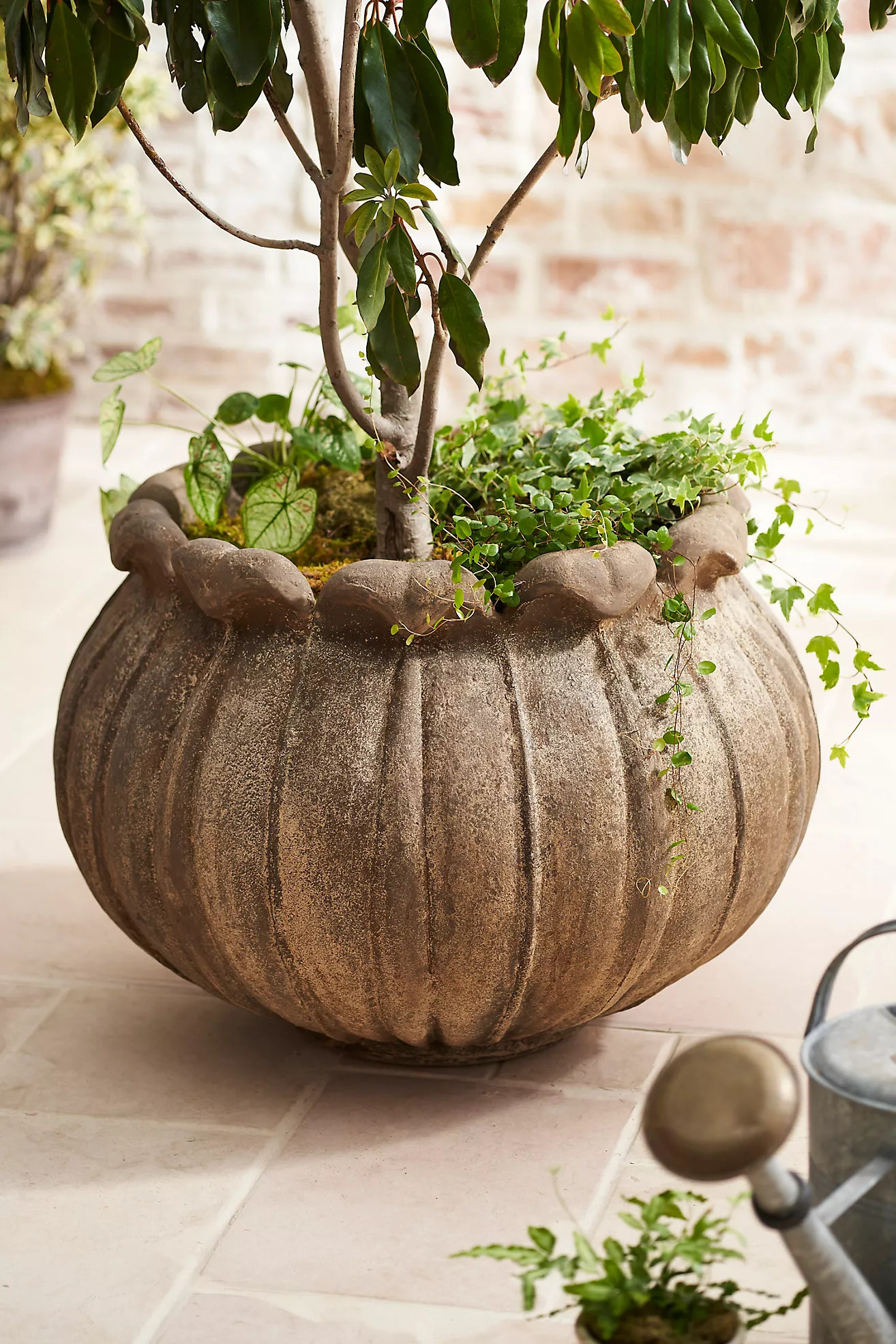 Keswick Cast Stone Planter | Anthropologie (US)