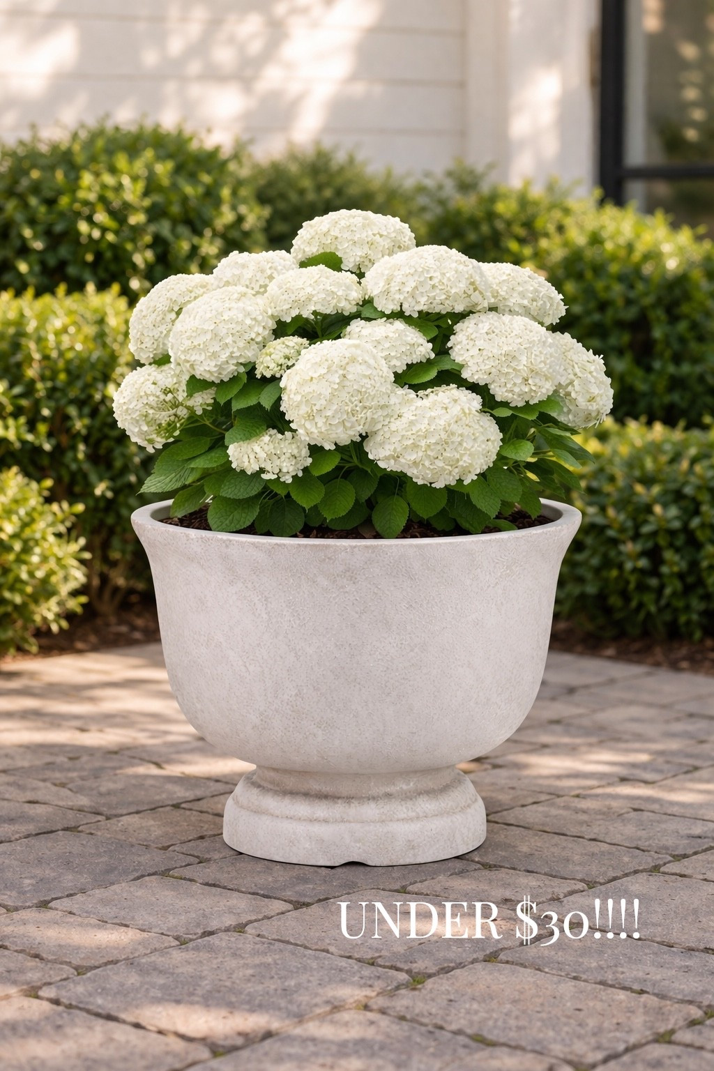 My march top seller, this $28 viral planter🌿🤍

#LTKHome #LTKSeasonal