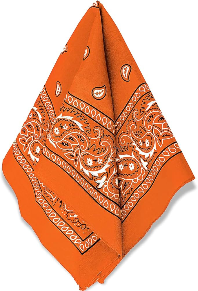 Amscan womens Paisley Bandana | Amazon (US)