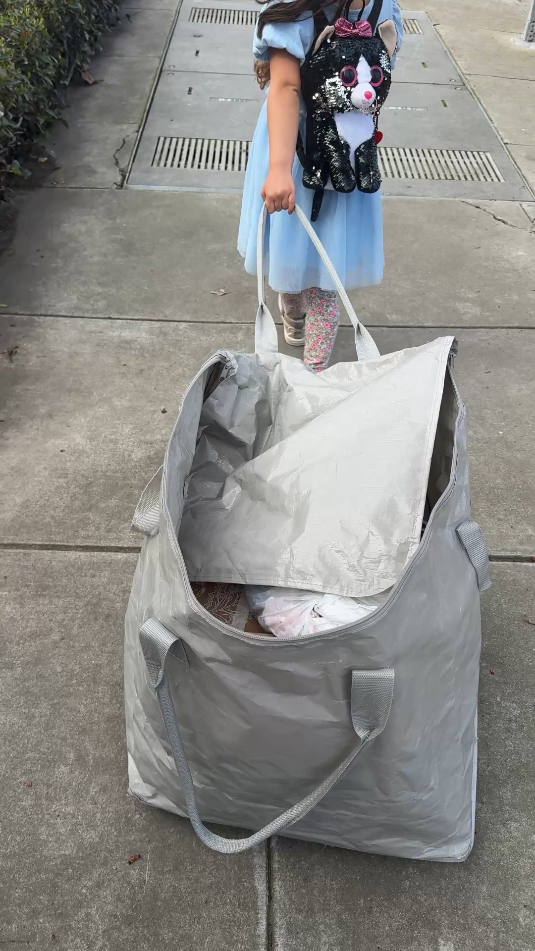 Like a Hulken but wayyyy cheaper. An estate sale must have bag  