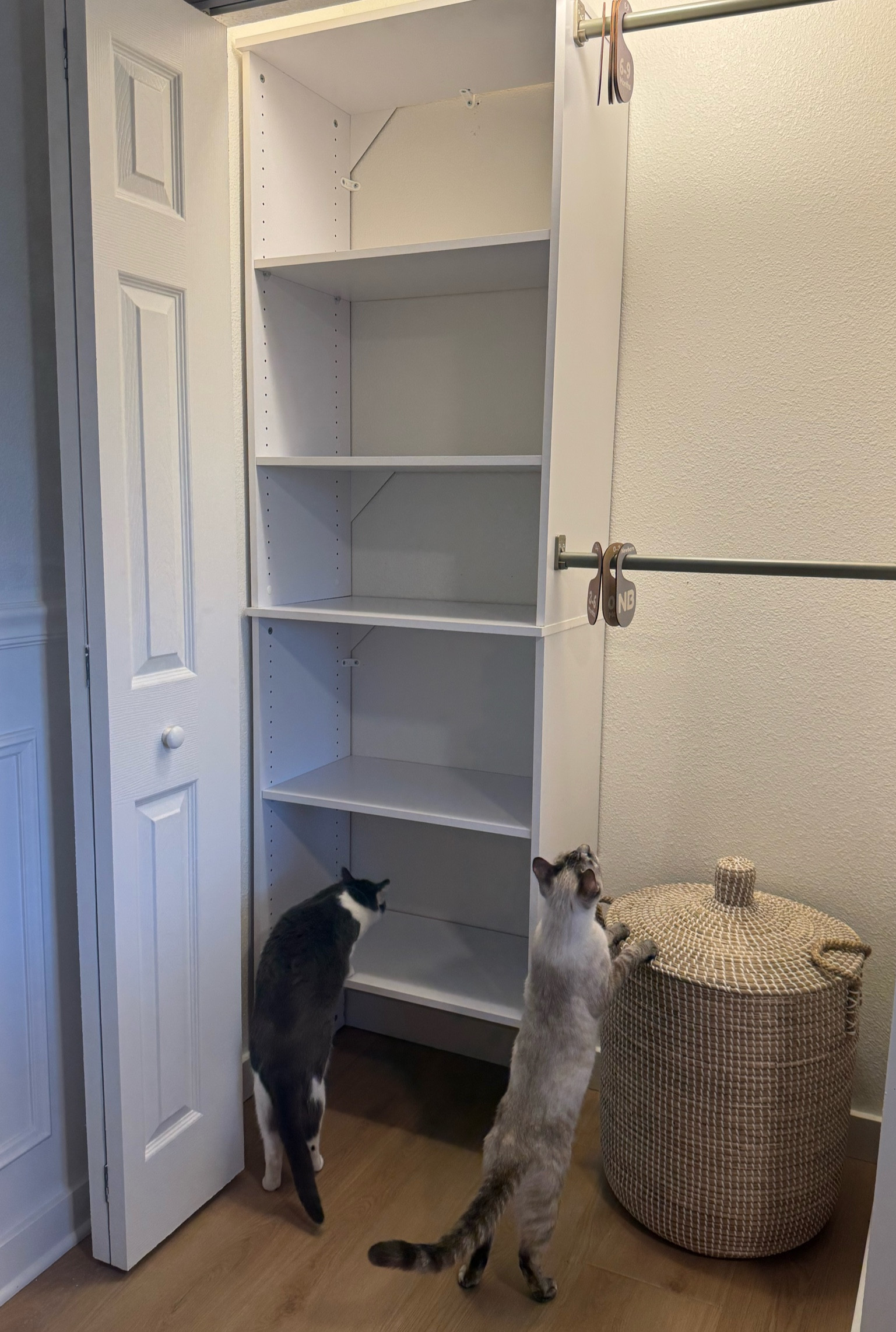 Amazon closet organizer for nursery 👶🏼🩵 

also linked my Amazon baby clothes size dividers and hangers 

#LTKFamily #LTKBaby #LTKBump