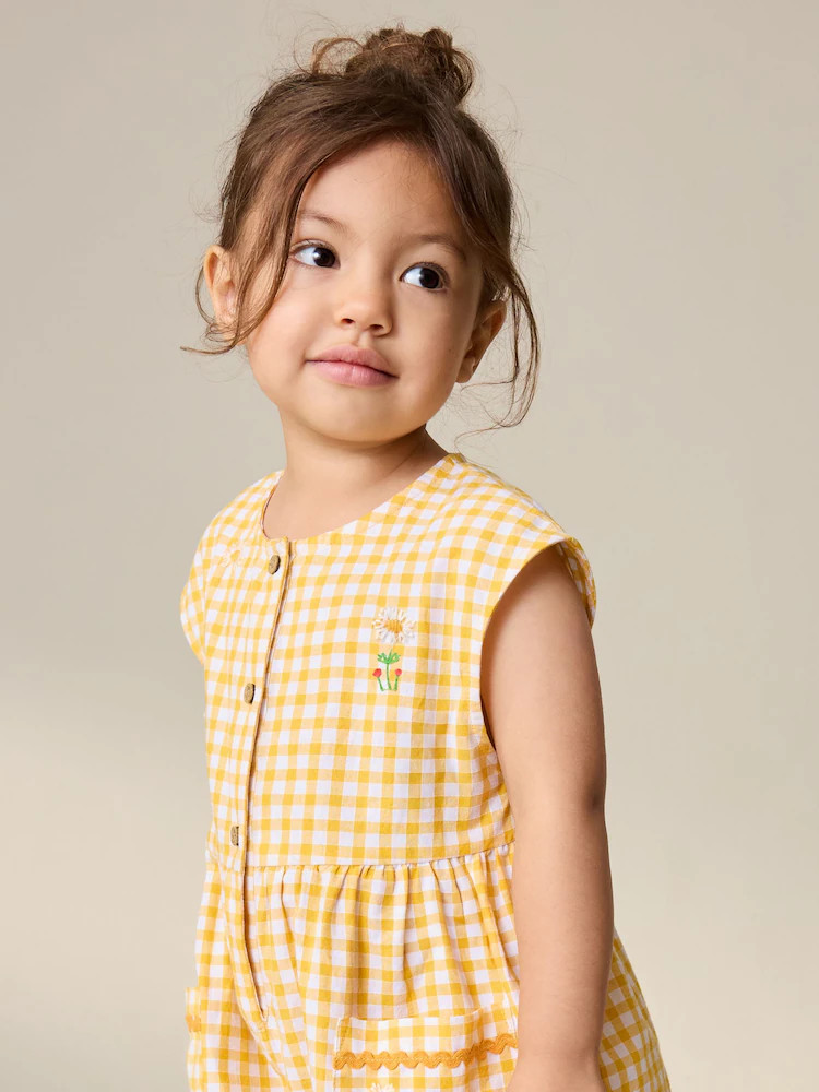 Yellow Gingham Embroidered Sleeveless Playsuit (3mths-7yrs) | Next US