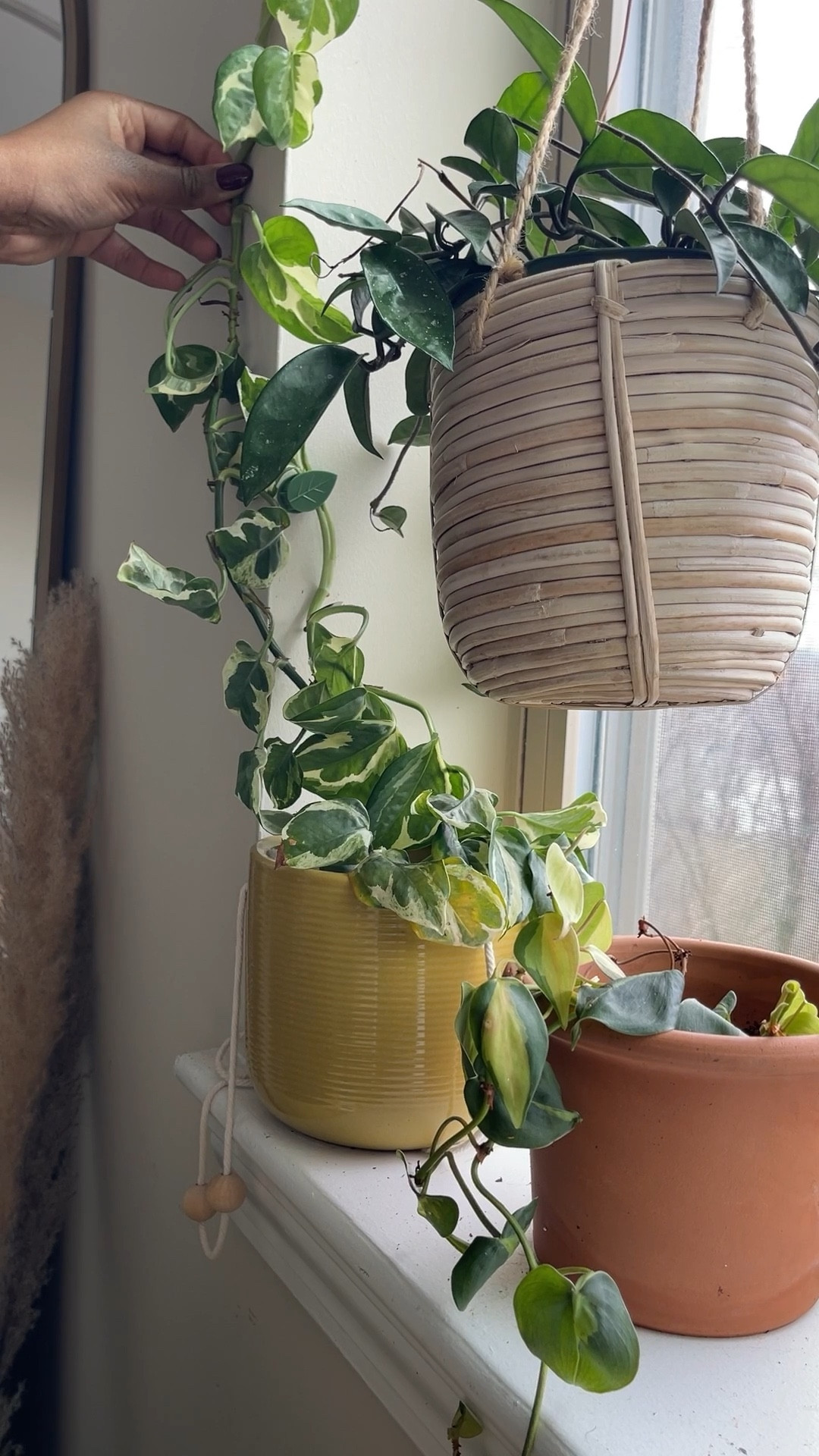 Home Decor for plant care. planter pots, terracotta, stoneware planter, hanging plants, boho decor, plant mom. H&M home 

#LTKfamily #LTKhome