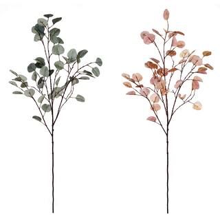 Assorted Round Dry Eucalyptus Leaf Stem by Ashland® | Michaels Stores