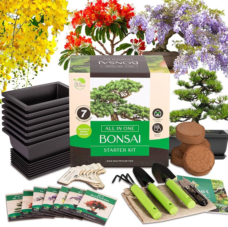 Bonsai Tree Starter Kit: Complete Bonsai Plant Growing Kit with 7 Types of Bonsai Tree Seeds Tool... | Amazon (US)