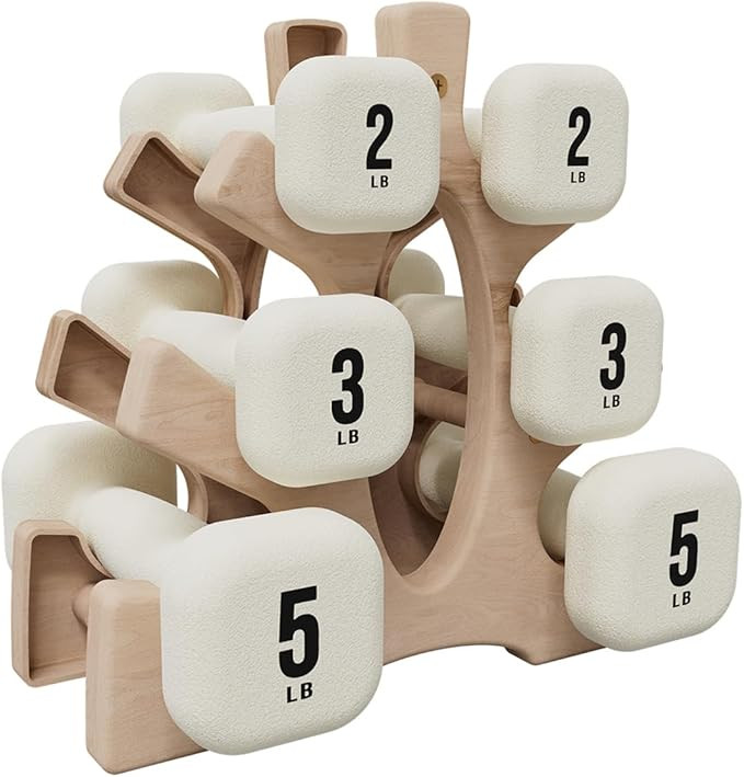 PAETA Dumbbells, Anti-Slip, Anti-Roll, Thick Handles, Free Weights, Square Dumbbells for Secure W... | Amazon (US)