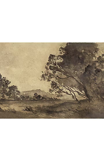 $100.00 – $125.00 | Anthropologie (US)