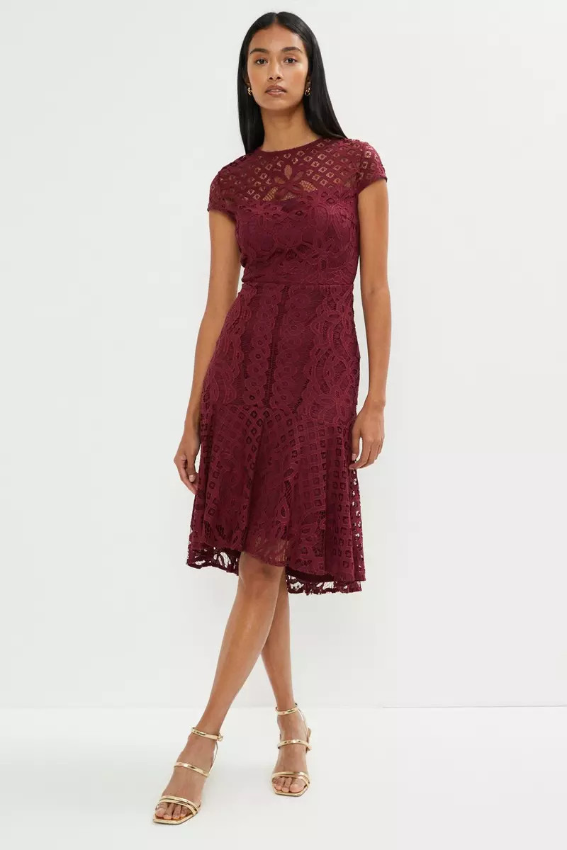 Capped Sleeve Lace Dress | Debenhams UK