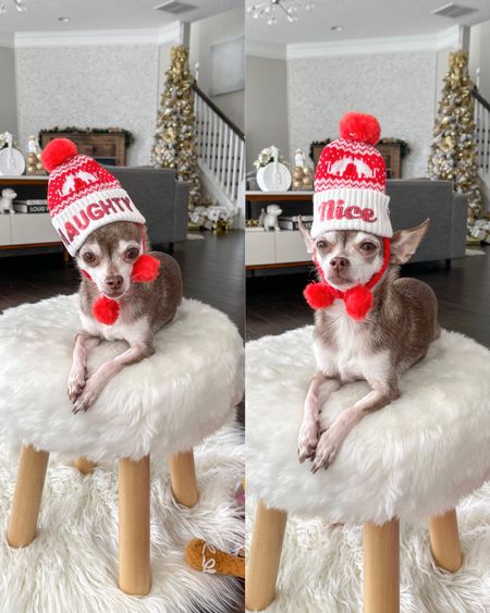 The cutest naughty or nice pet hat!

Dog hat, Santa hat, winter hat, Christmas hat 

#LTKSeasonal #LTKfamily #LTKHoliday