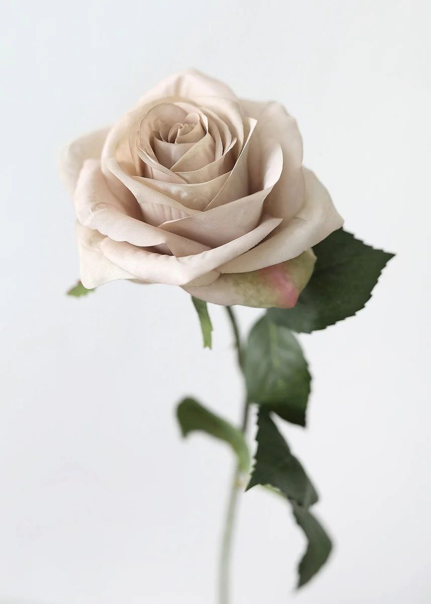 Artificial Flowers Rose in Taupe Beige - 21.5 | Afloral (US)