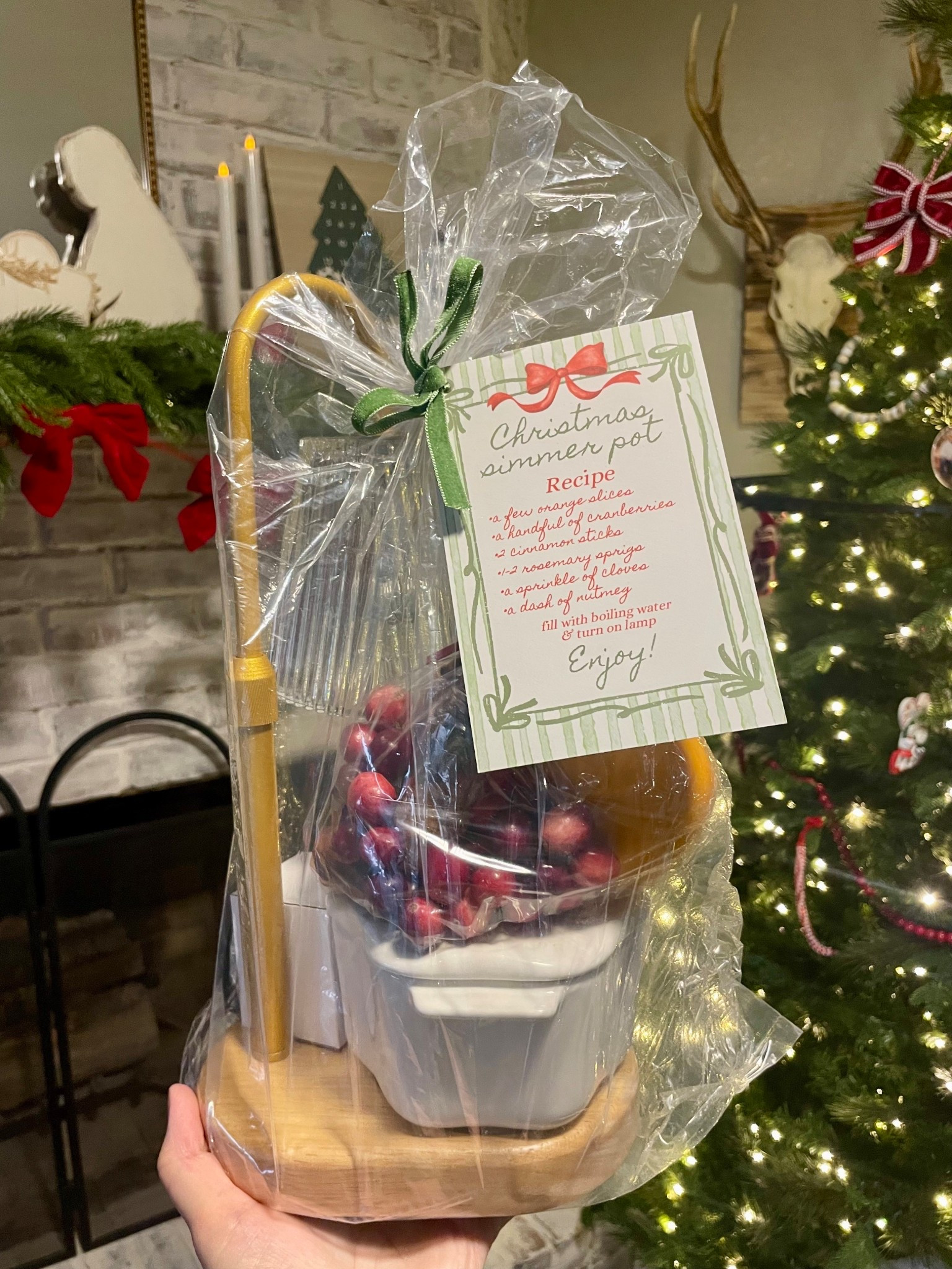 DIY gift idea — perfect for teachers, coworkers, family, etc. A simmer pot with a twist! I linked everything I used in this one, but linked additional options as well! I made the card on Canva, let me know if you want me to send it over! ❤️

#LTKHoliday #LTKHome #LTKGiftGuide