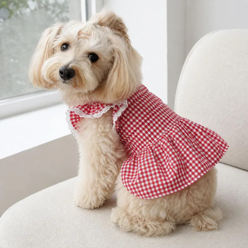 Red Gingham Dog Dress with Lace Ruffle Sleeves, Cute Checkered Summer Pet Outfit for Small Dogs a... | Etsy (Global)