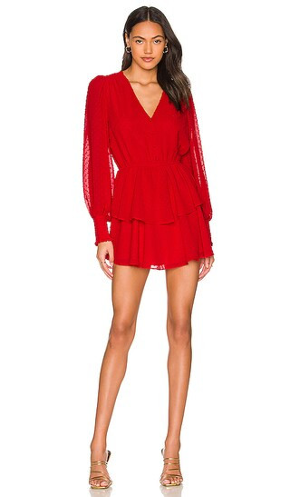 Marley Dress in Swiss Dot Red | Revolve Clothing (Global)