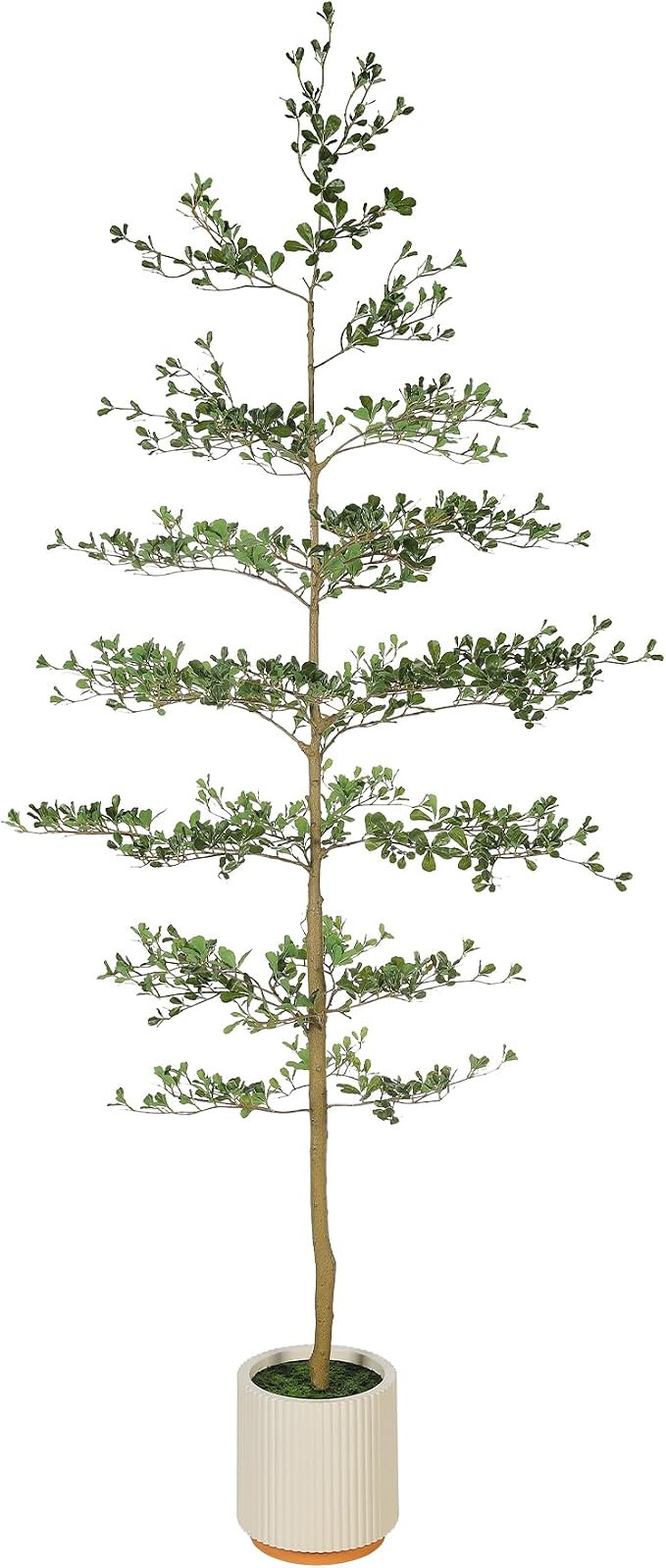 Faux Black Olive Tree 8ft with Planter - Artificial Shady Lady Tree | Amazon (US)