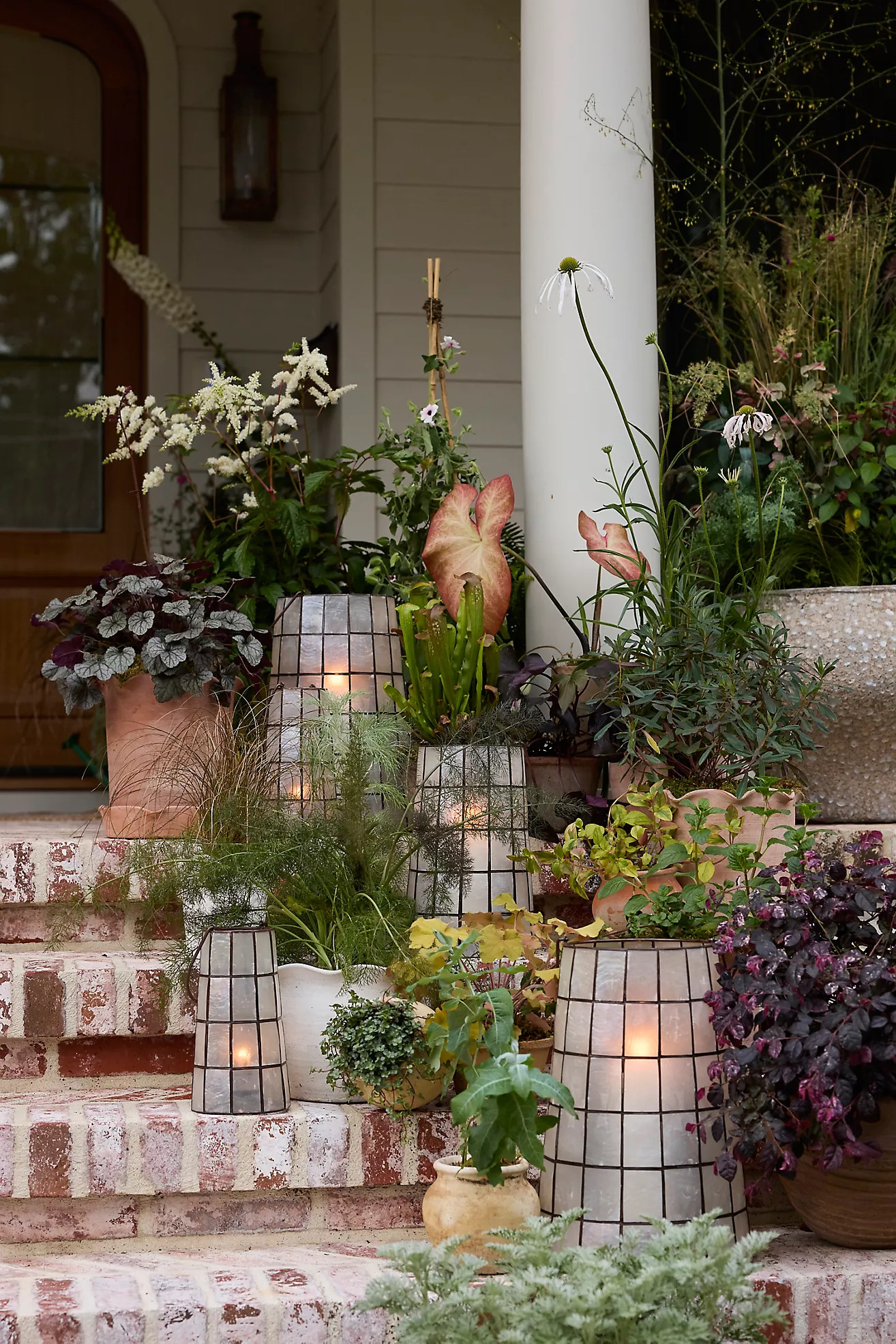 Capiz Shell Lantern | Anthropologie (US)