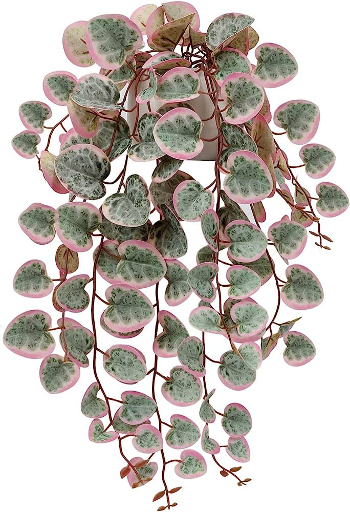 Briful Fake Plants 16'' Artificial String of Hearts Plants with Ceramic Pot Faux Hanging Plants f... | Amazon (US)