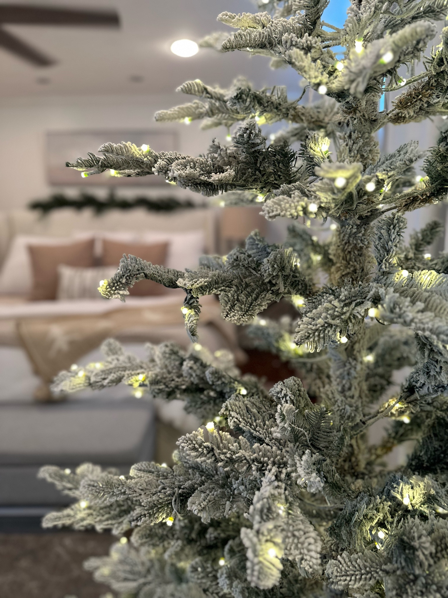 Most gorgeous flocked tree from @kingofchristmas

#LTKSeasonal #LTKsalealert #LTKHoliday