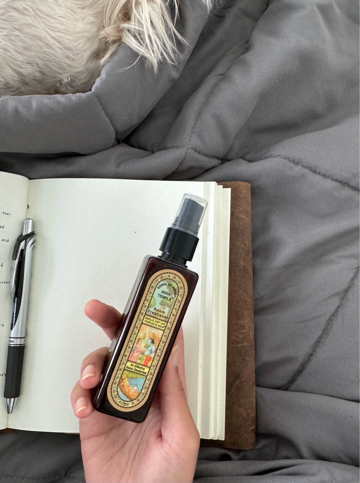 ❤️

#LTKHome #LTKU