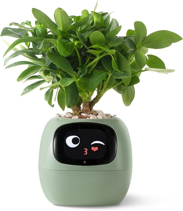 Smart pet Planter Robot Guidance on Plant Care with Emojis, Adorable Plant Companion with Rich Ge... | Amazon (US)