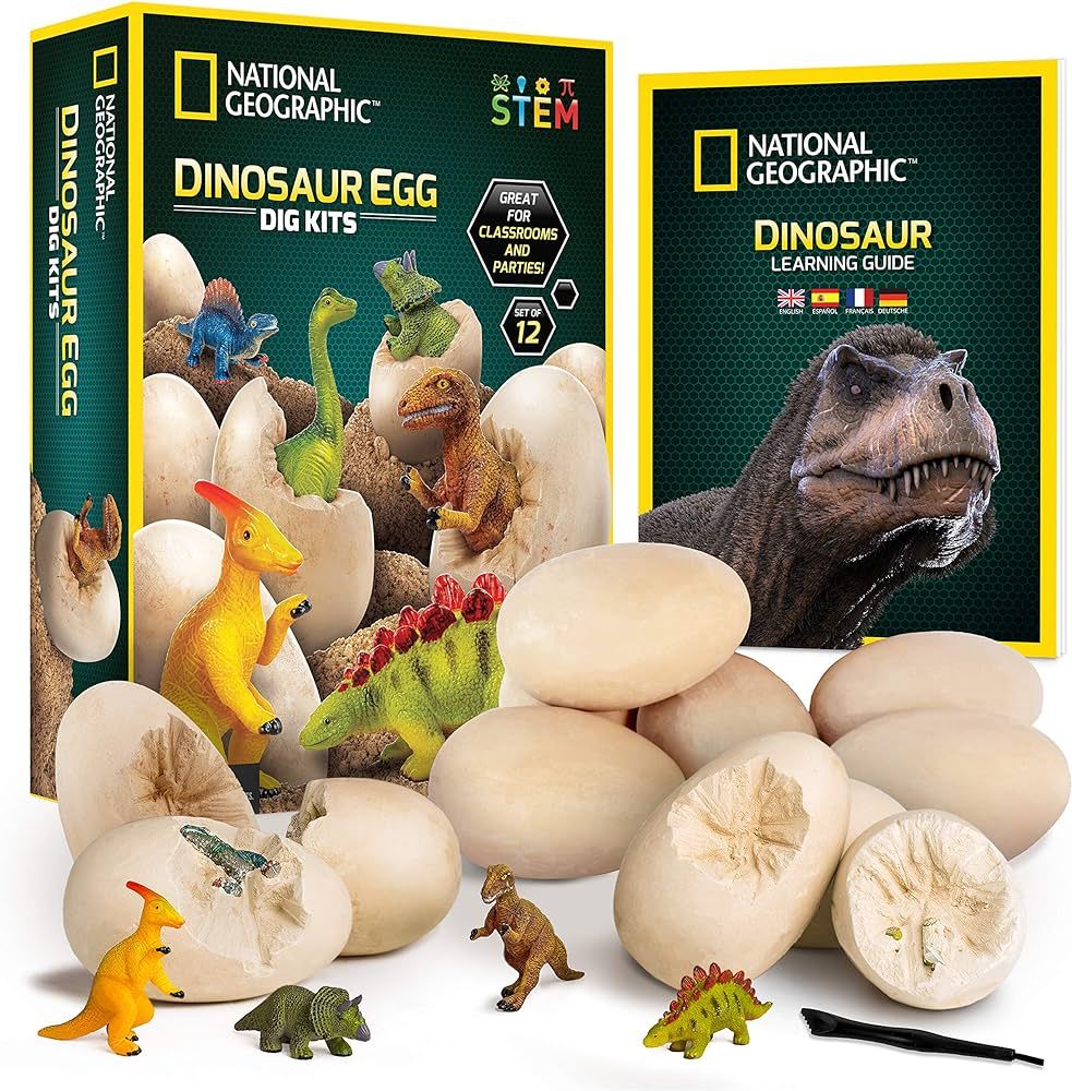 NATIONAL GEOGRAPHIC Dinosaur Dig Kit - 12 Dino Shaped Dig Bricks with Dinosaur Figures Inside, 12... | Amazon (US)