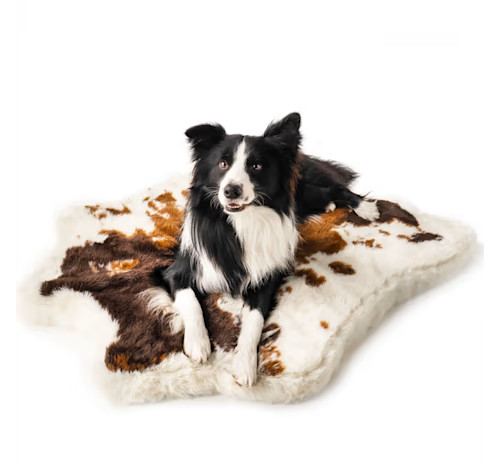 Paw Brands PupRug Animal Print Luxury Faux Fur Orthopedic Memory Foam Washable Dog Bed, 40" L X 3... | Petco