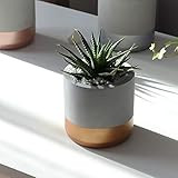 Atelier Ideco - Round Indoor Gray and Copper Cement Flower Pot, Hygge Concrete Planter Pot, Modern G | Amazon (US)