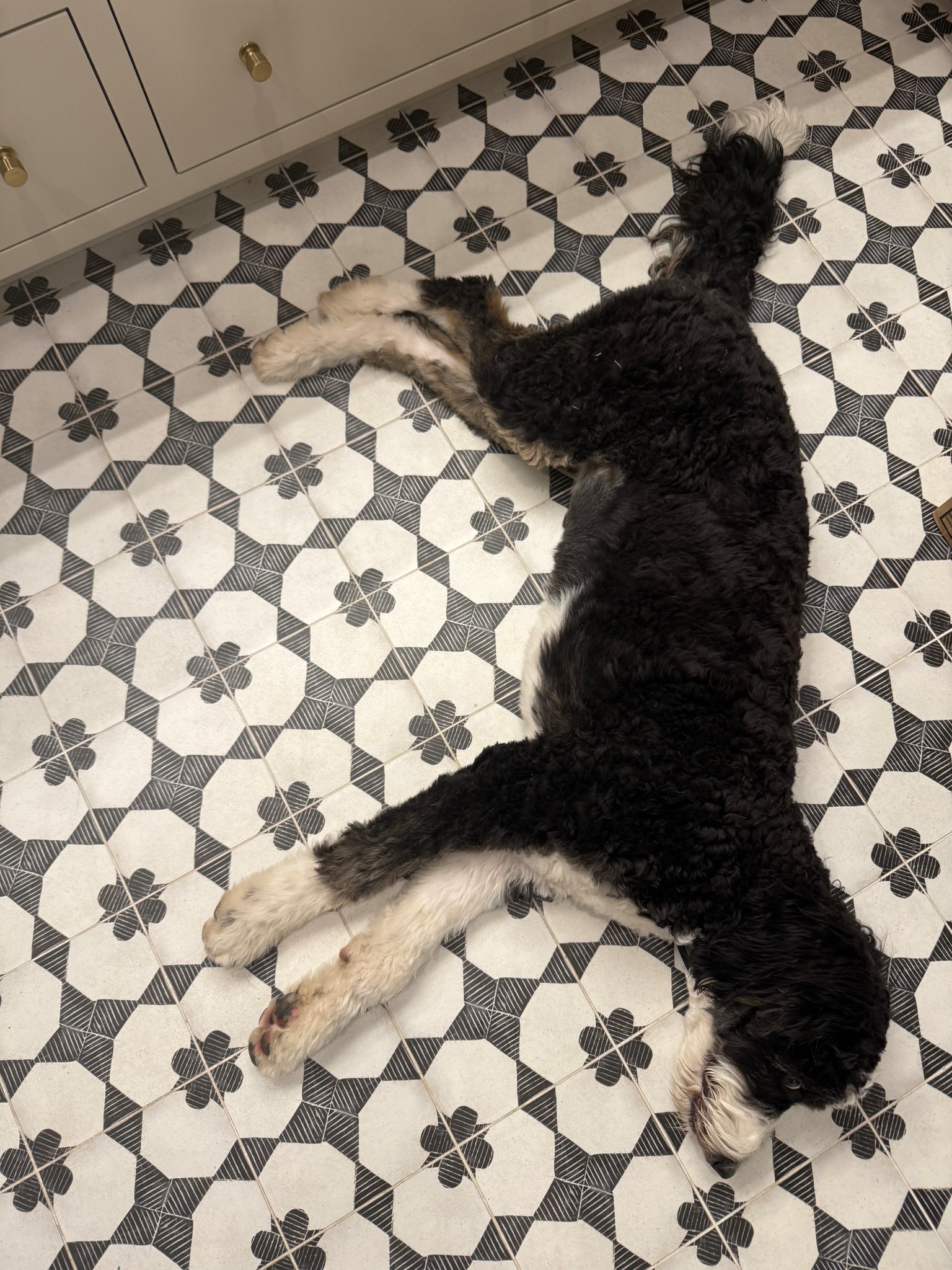 One of my favorite spaces in our home. I love the busy tile in the pantry! Linking my favorite runner for this area.

#LTKHome #LTKStyleTip
