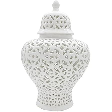 White Ceramic Ginger Jar with Lid Living Room Decor,Carved Jar Decorative Bright and Full Temple Jar | Amazon (US)