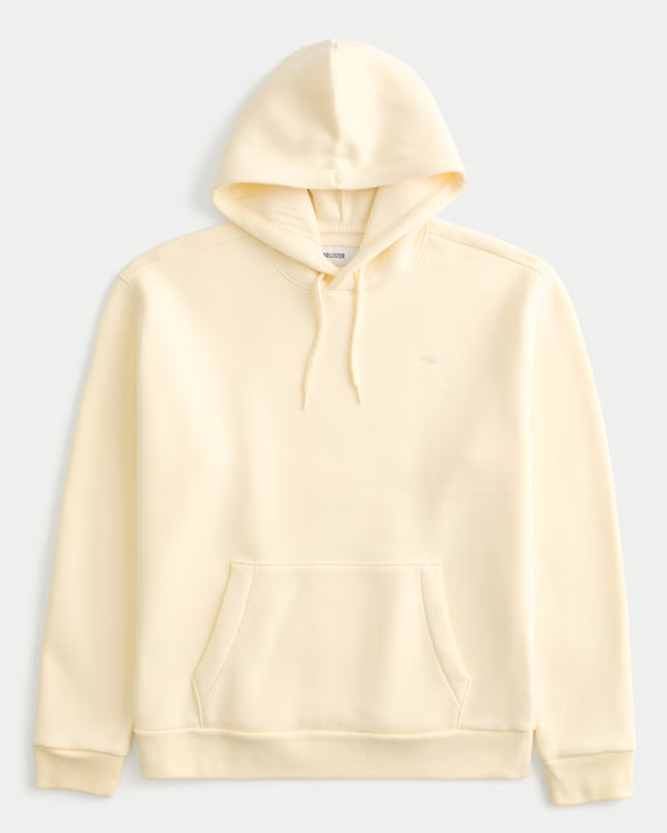 Icon Hoodie | Hollister (US)