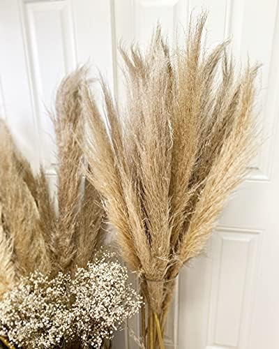 Emir&Odin 45" inch 15 Stems Natural Dried Pampas Grass – Tall, Large and Fluffy, No Shedding No... | Amazon (US)